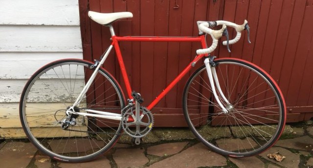 22549658_887148758116379_2699669032495115256_n